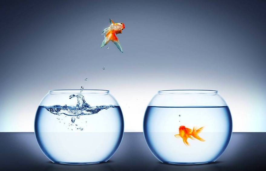 1591258471242884.jpg 告別舒適區.jpg